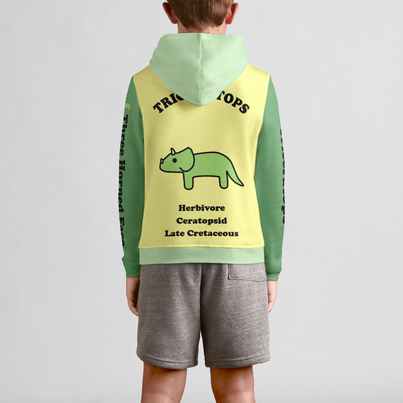 Simple & Bold Dinosaurs! | Youth Pullover Hoodie | three tone