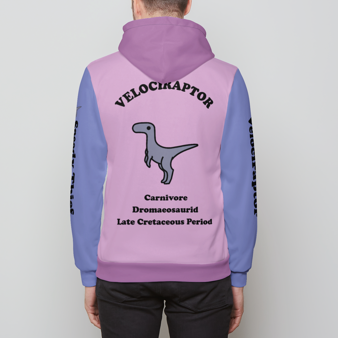 Simple & Bold Dinosaurs | Unisex Relaxed Pullover Hoodie | Three tone