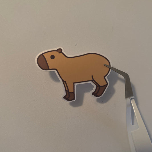 Capybara Sticker | Singles