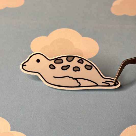 Harbor Seal Stickers | Singles